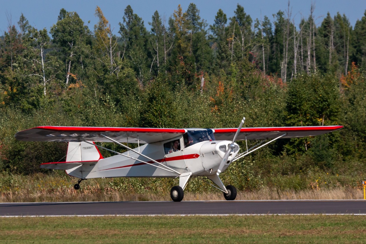 A classic Taylorcraft tailwheel airplane rolling on a runway